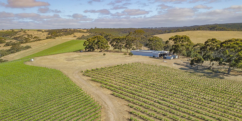 Aerial view of The Islander Estate's vineyard, Kangaroo Island