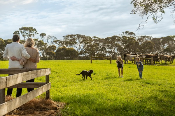 Our favourite things to see and do on Kangaroo Island in winter