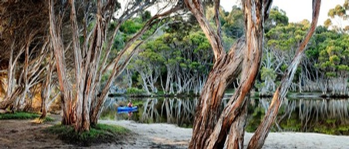 Antechamber Bay and Chapman River Kangaroo Island