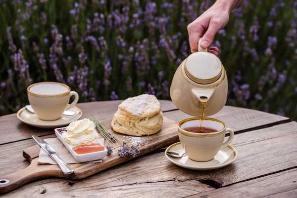 Emu Bay Lavender Farm Cafe Kangaroo Island