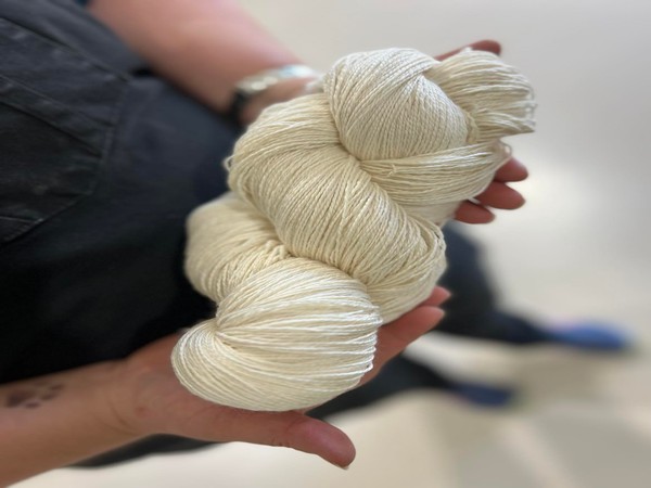 Kangaroo Island Wool's tour experience