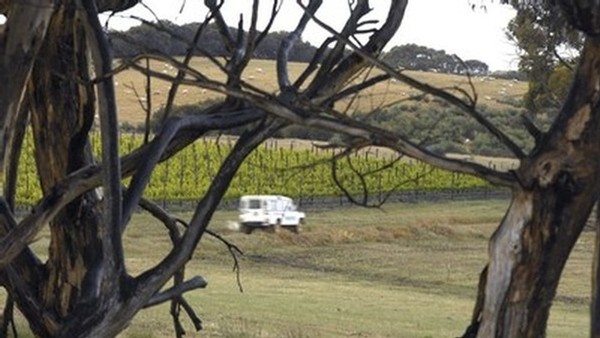 Kangaroo Island wine region offers incredible diversity of styles