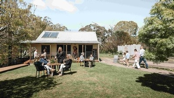 Have an intimate Kangaroo Island wine experience at The Islander Estate Vineyards tasting room